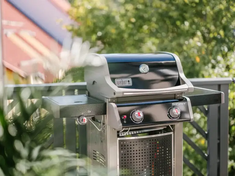 Weber gas grill Moonstone
