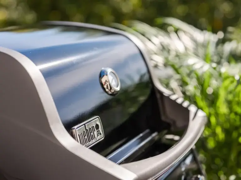 Weber grill Moonstone