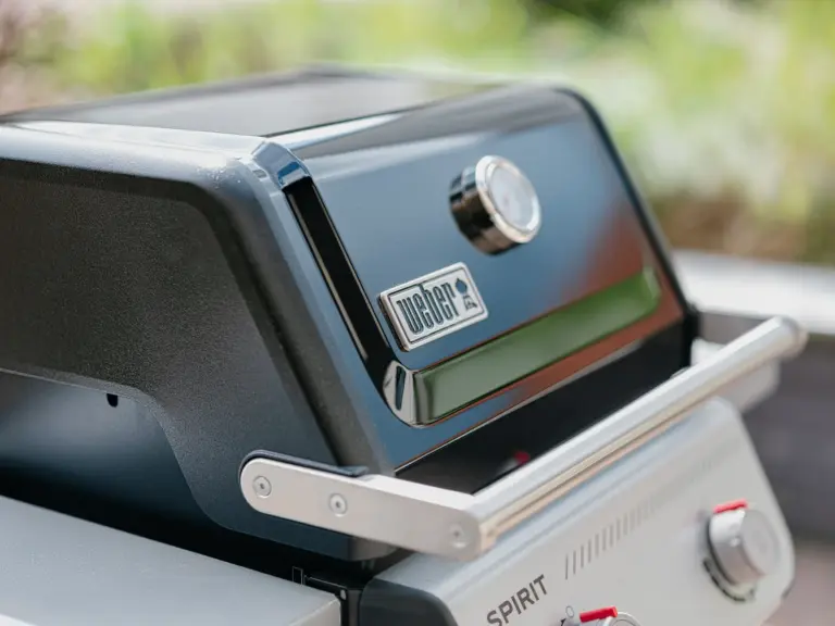 Sapphire Green Terrace with Weber Grill